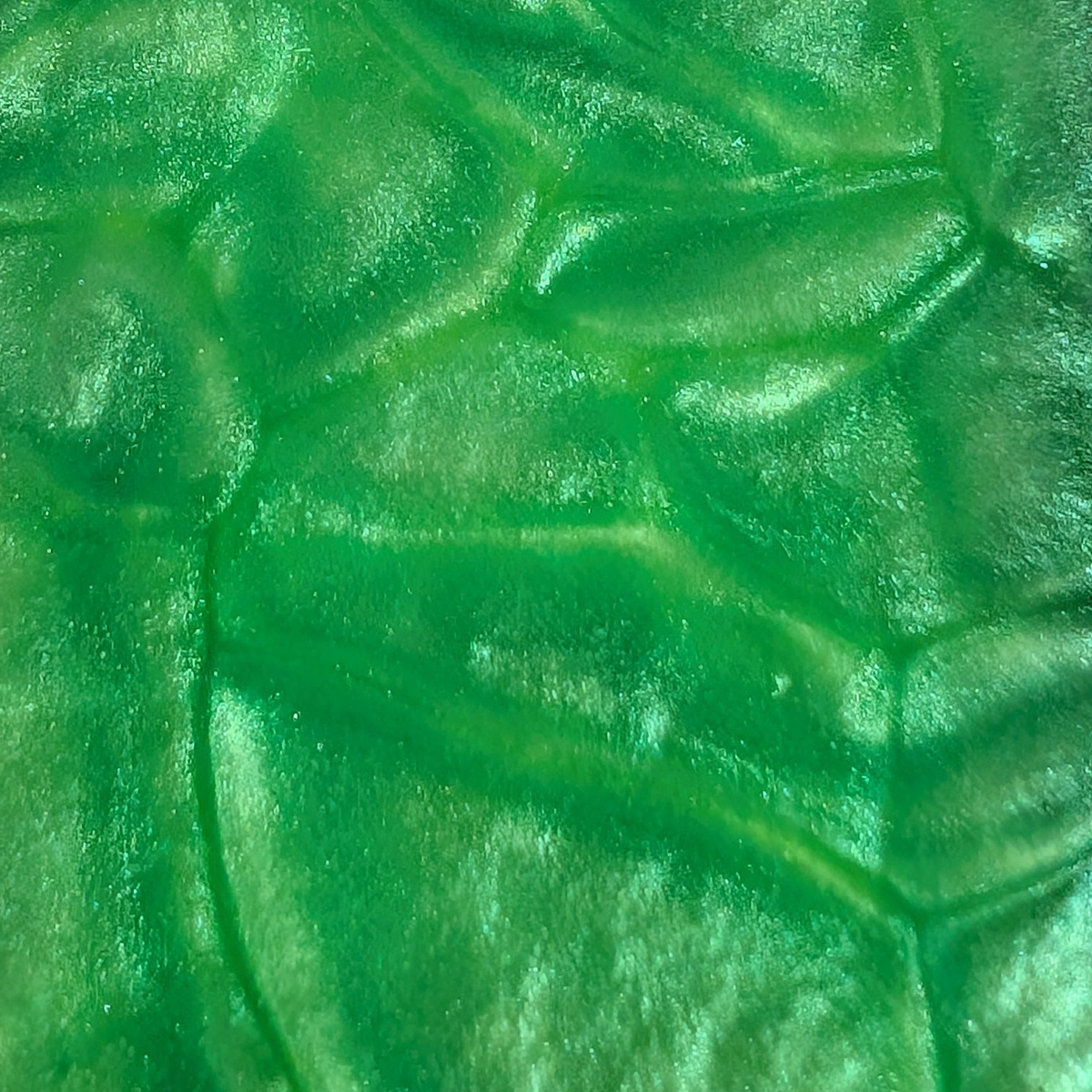 Zombie Fizz wax melt